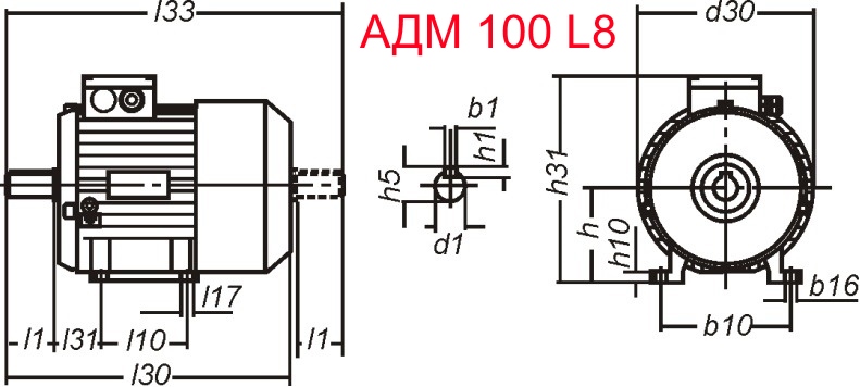 Основные размеры  АДМ 100 L8