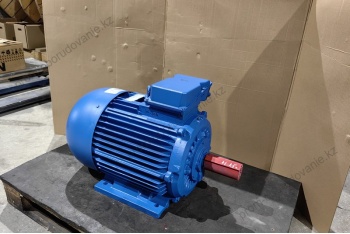 Фотография Электродвигатель 5А200L2 (45/3000)